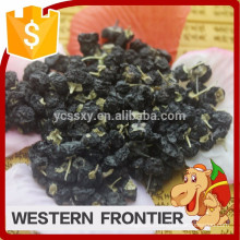 top quality with low price dried style black goji berry